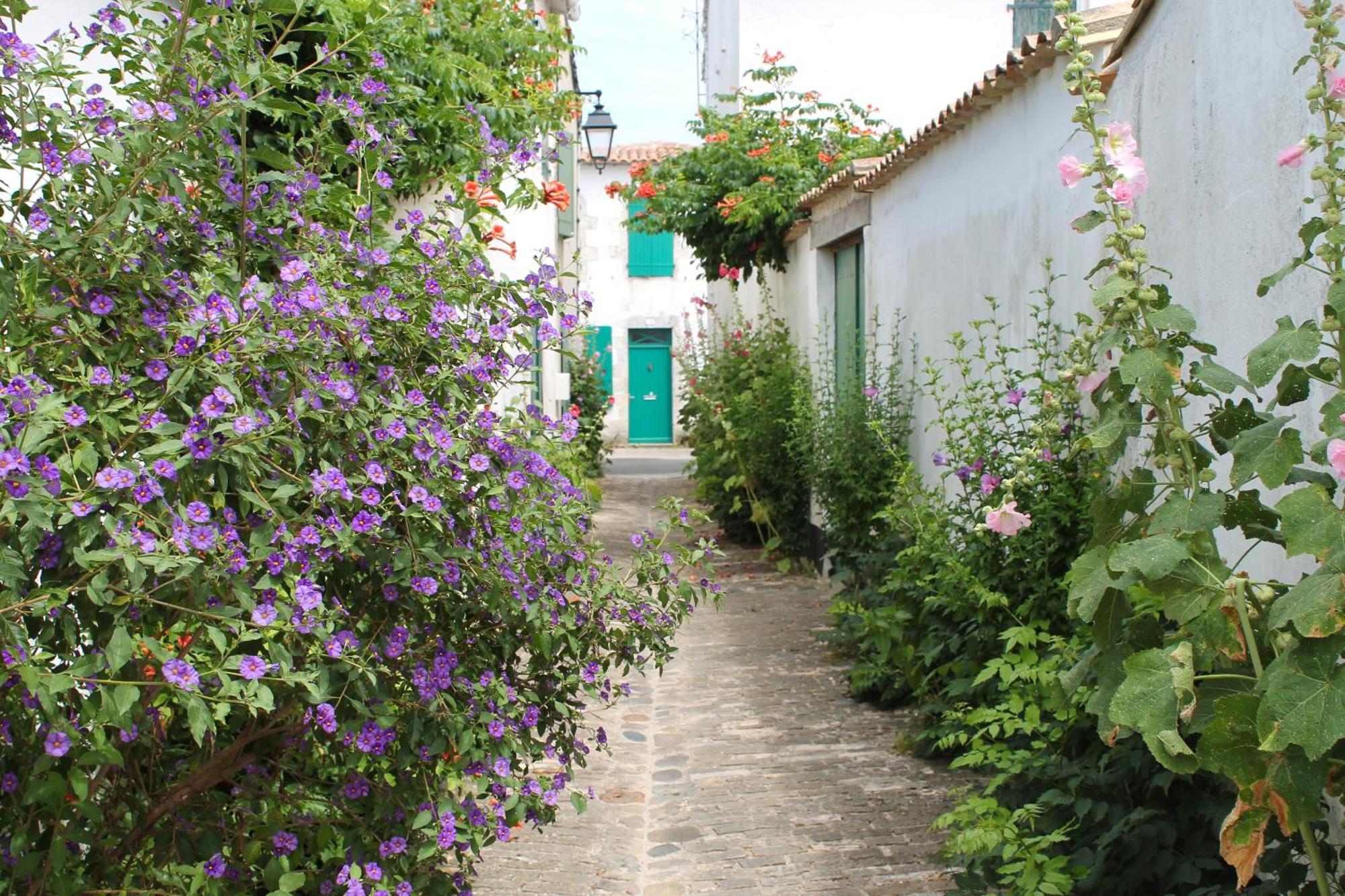 Le Clos Des Vieux Moulins Ла-Флот Экстерьер фото